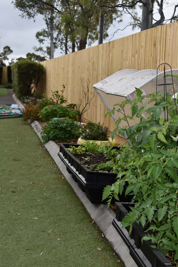 The outdoor vege garden at Sunny Hills Child Care