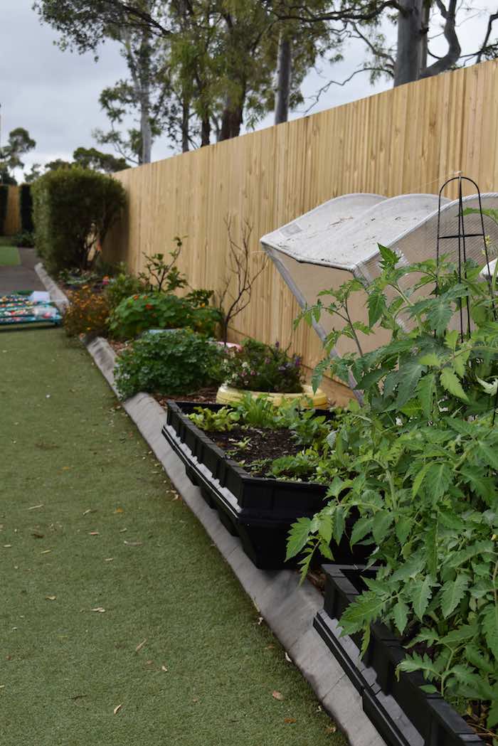 Outdoor garden part of sustainabiliity program